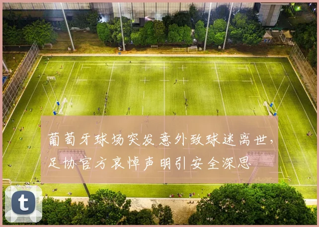 葡萄牙球场突发意外致球迷离世，足协官方哀悼声明引安全深思